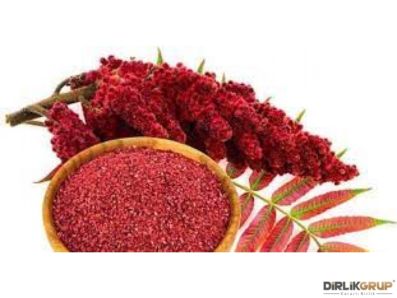  Taze SUMAK 1 KG 