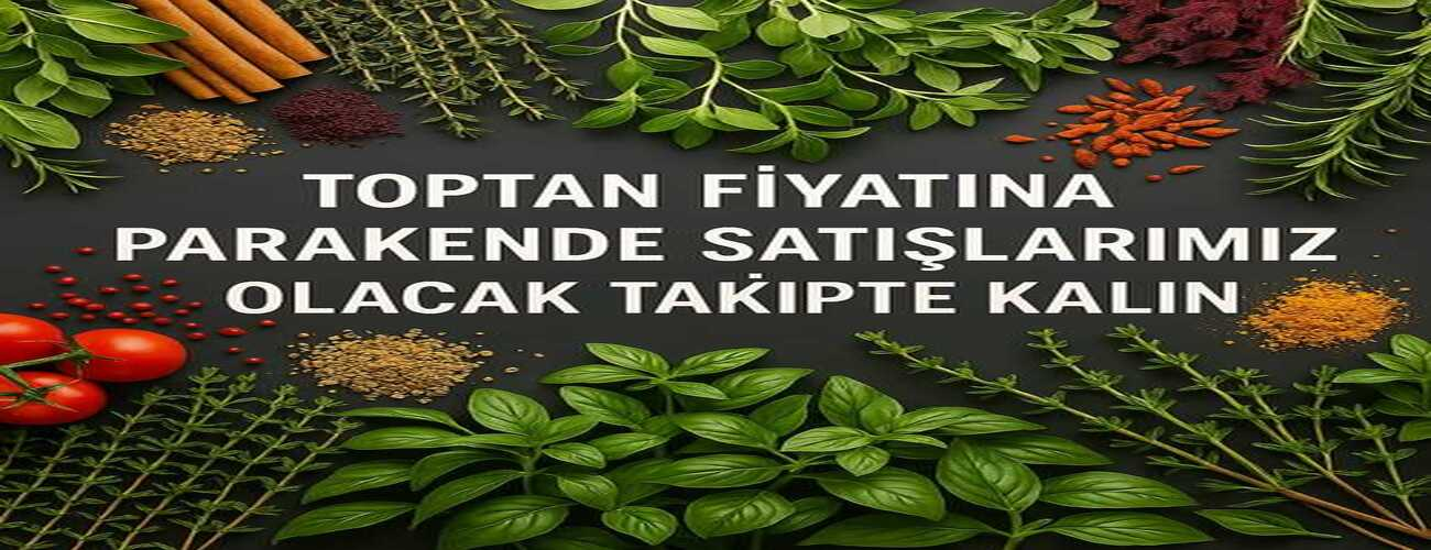 MAX KALİTE DİP FİYAT